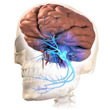 Neurology Treatment for Allergies